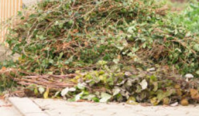 Garten Entrümpelung